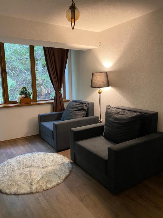 Hotel Neda Galichnik Galicnik المظهر الخارجي الصورة
