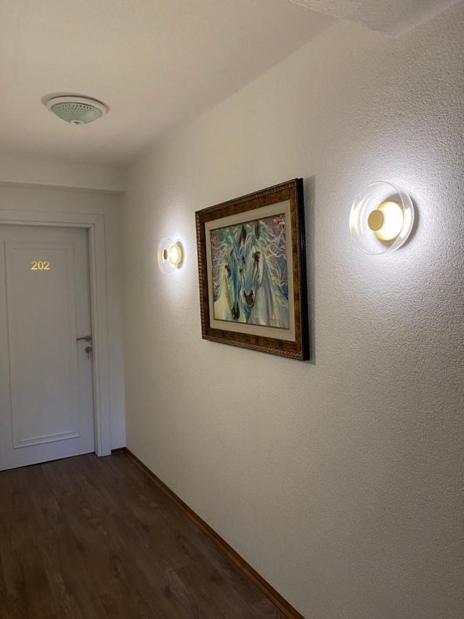 Hotel Neda Galichnik Galicnik المظهر الخارجي الصورة
